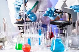 Practical Science Learning at Indian Public School